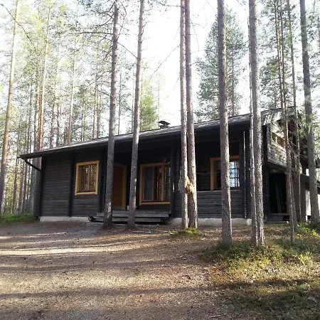 Pytkynoja * Syöte