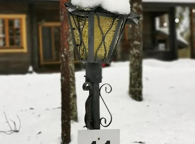 Pytkynoja Сasa de vacaciones *